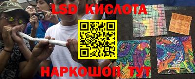 СК Славгород