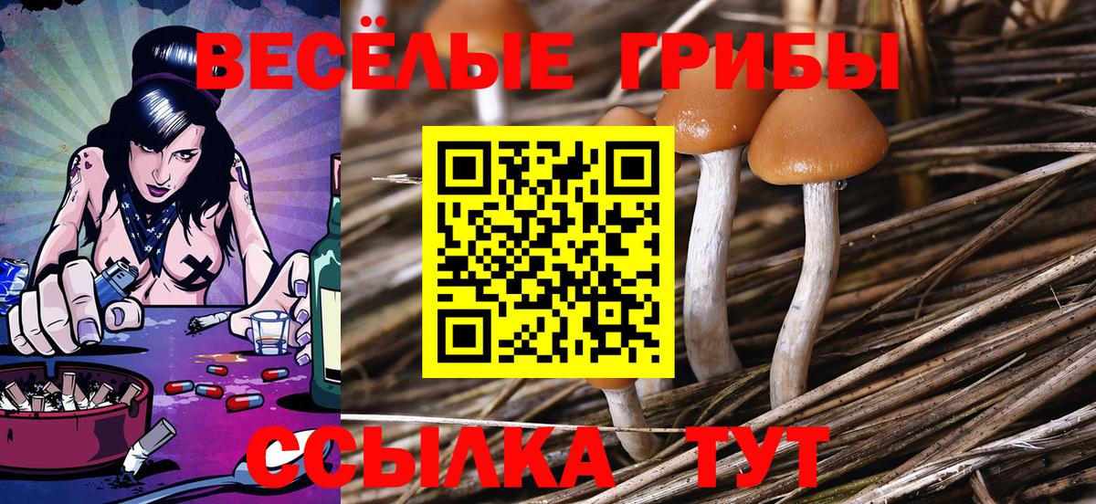 Псилоцибиновые грибы мухоморы Курчалой