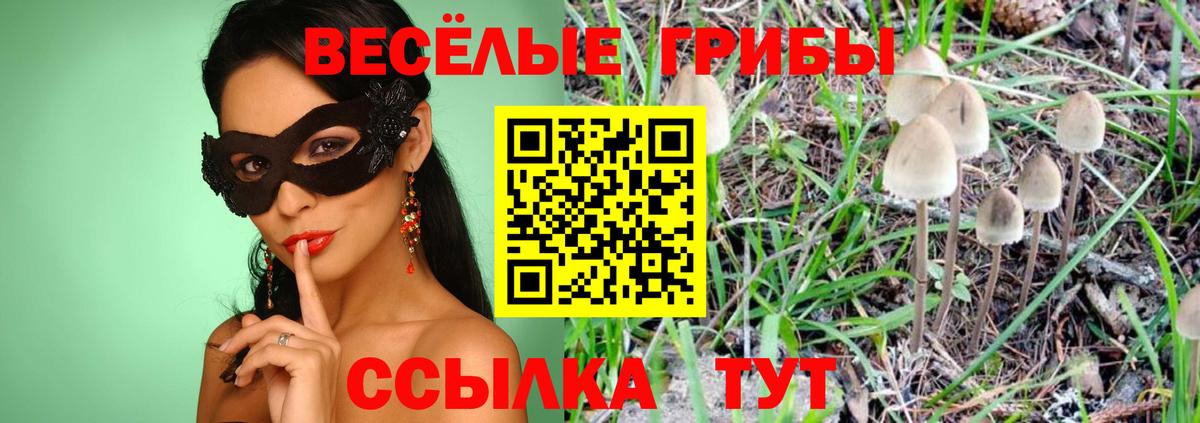 Псилоцибиновые грибы мицелий  Вход с VPN  Курчалой 